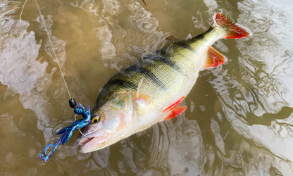 Spro Insta Craw 3,5"